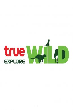 TRUE WILD