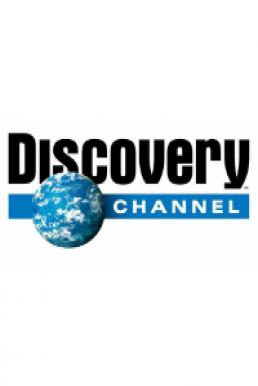 Discovery